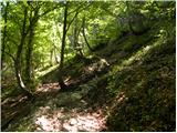 Zajzera - Rifugio Pellarini